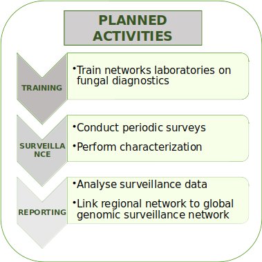 Planned activities