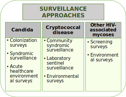 Suirveillance Approach